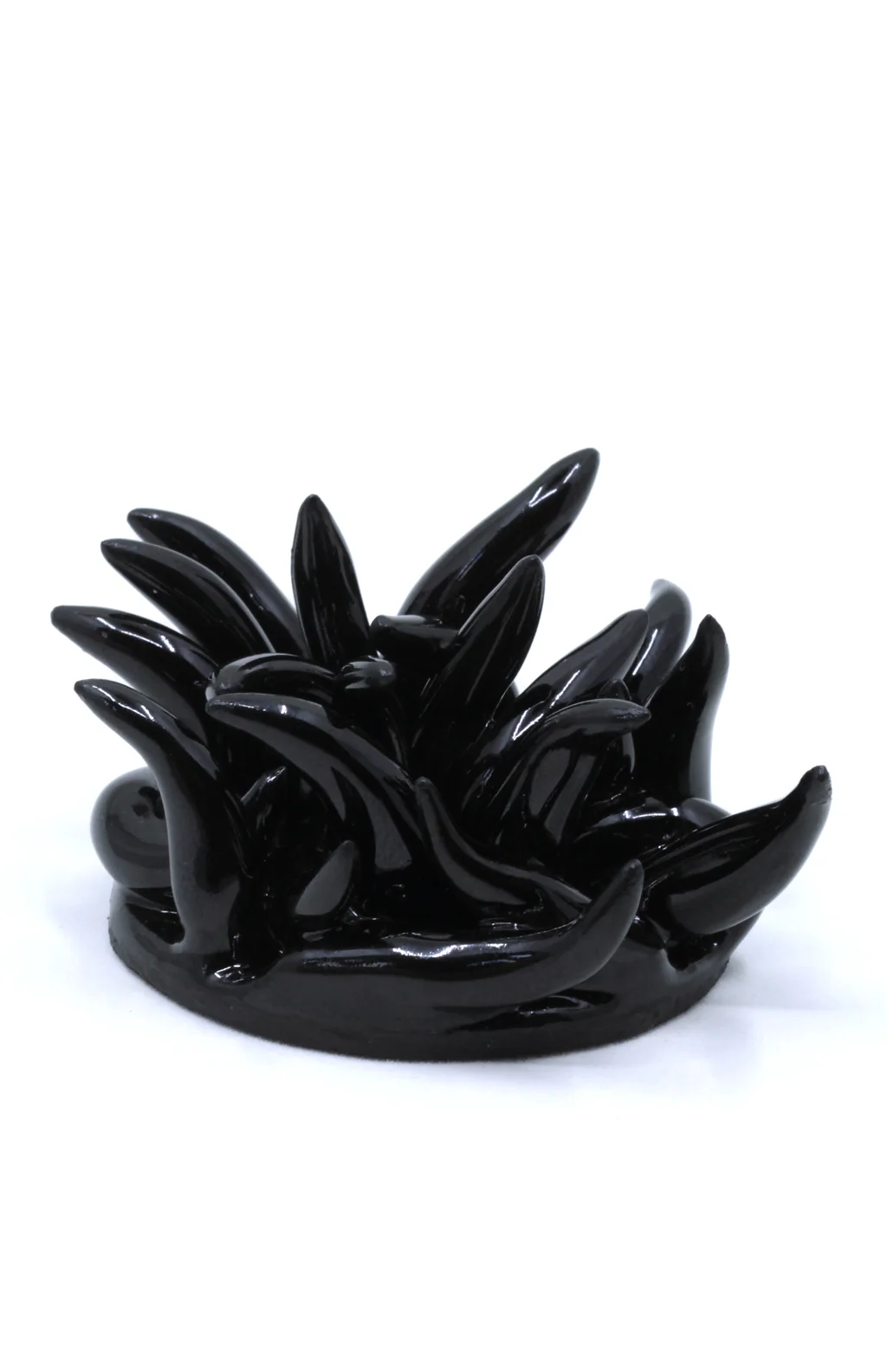 Nœud noir
