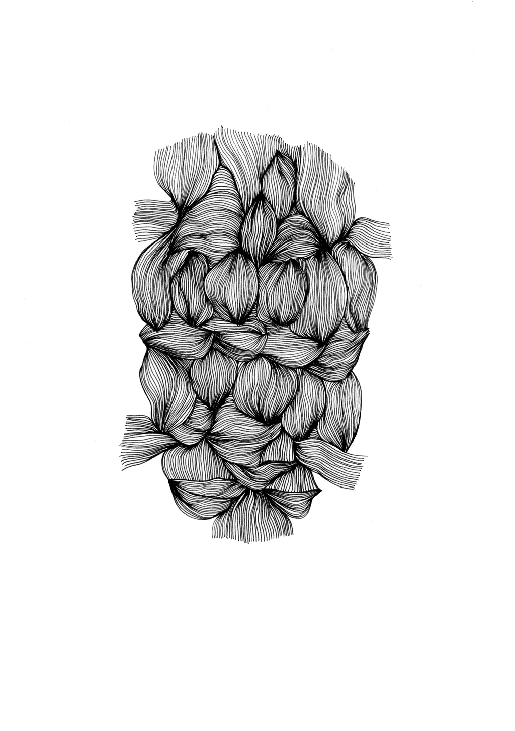 Muscle braid