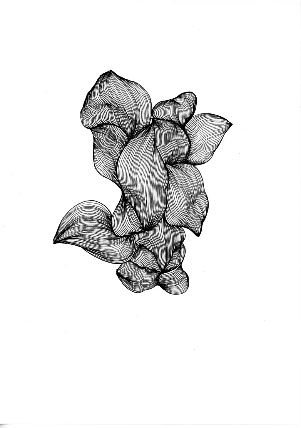 Apollo's torso