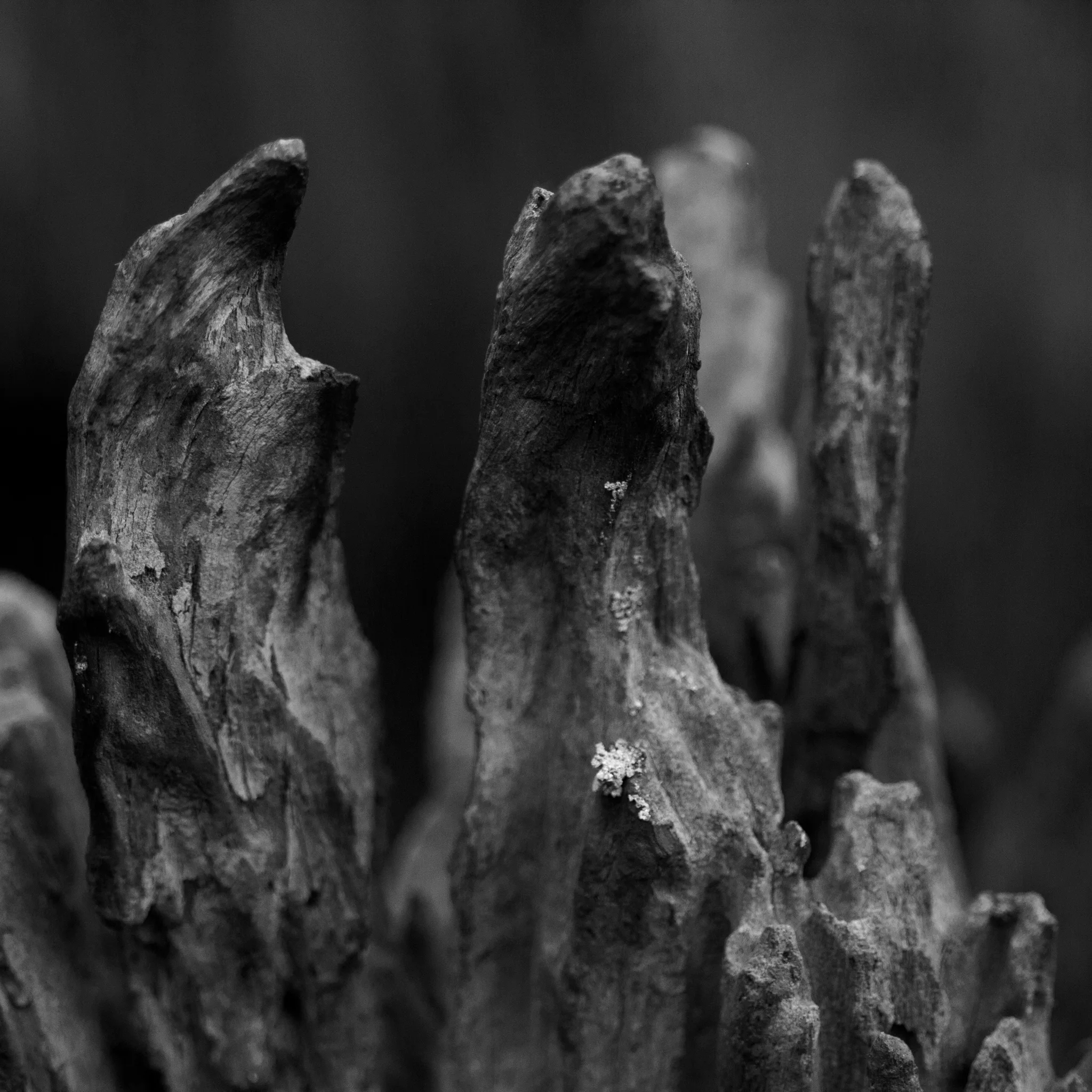 Square fracture I