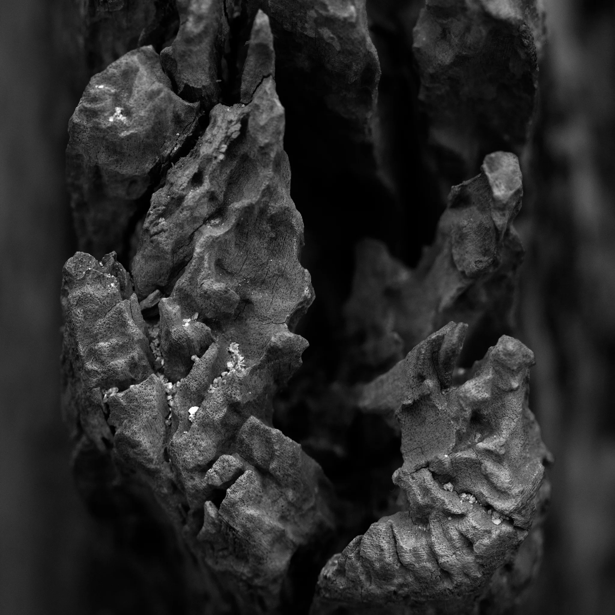 Square fracture III