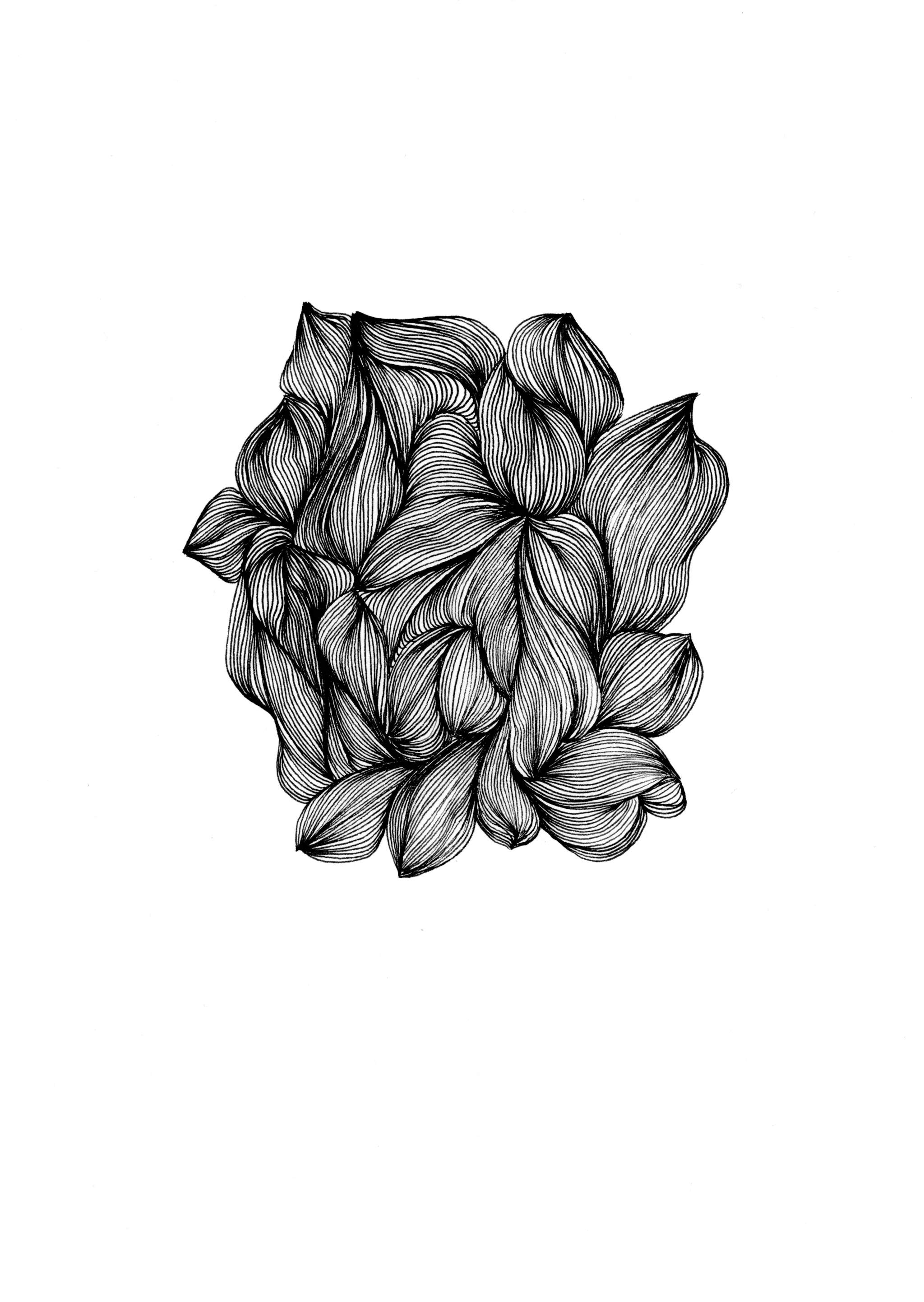 Fall leaves  