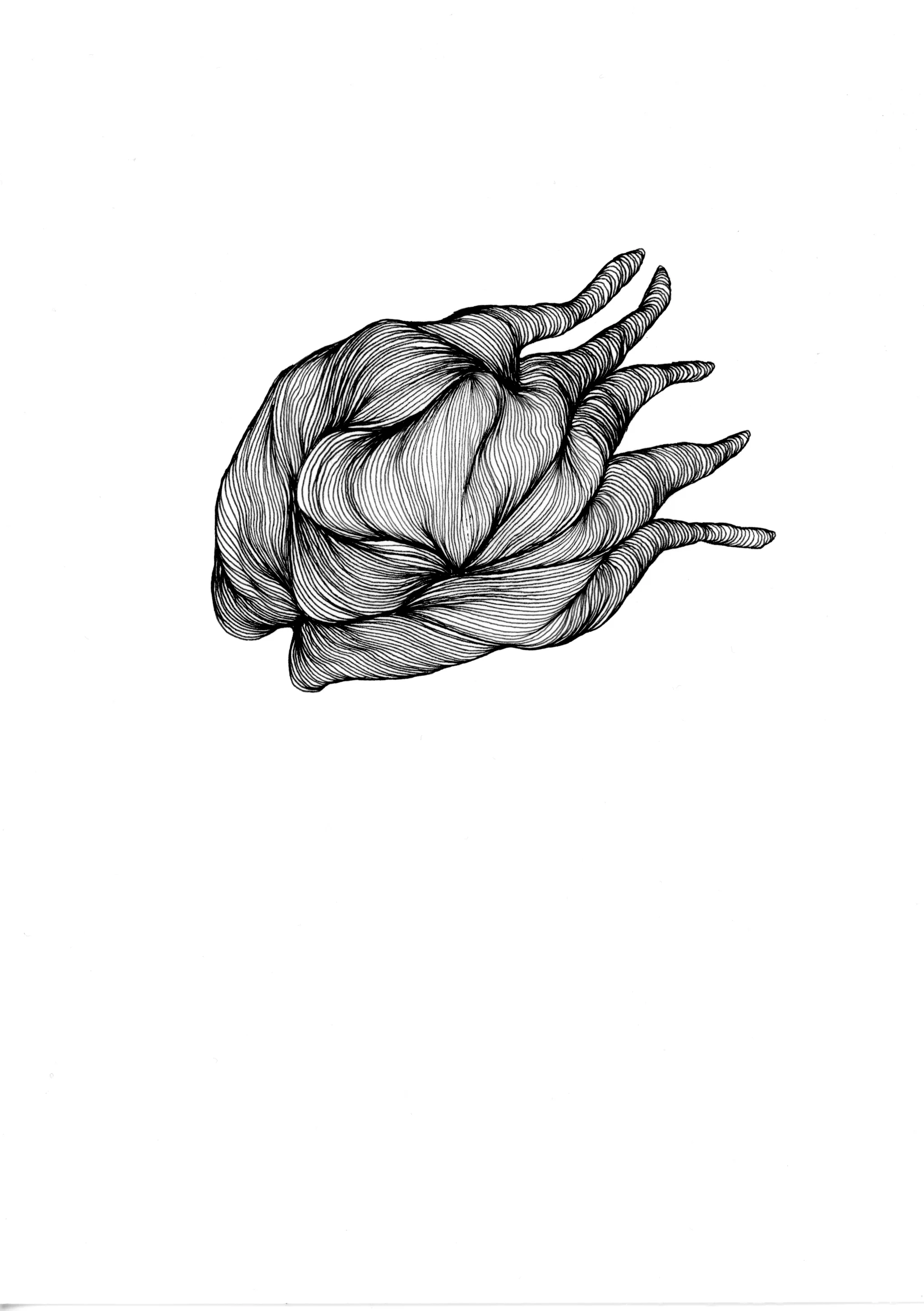 A flying heart
