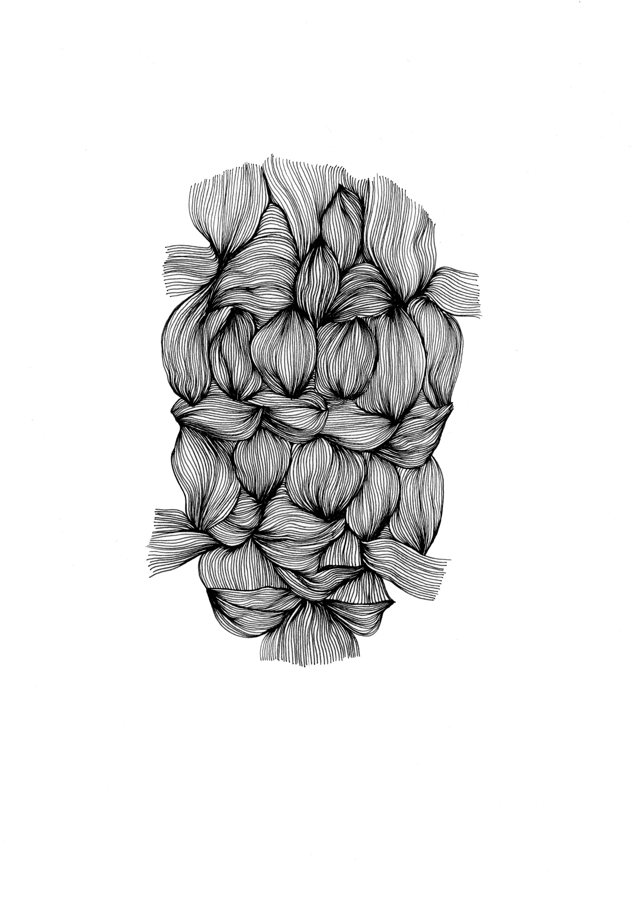Muscle braid